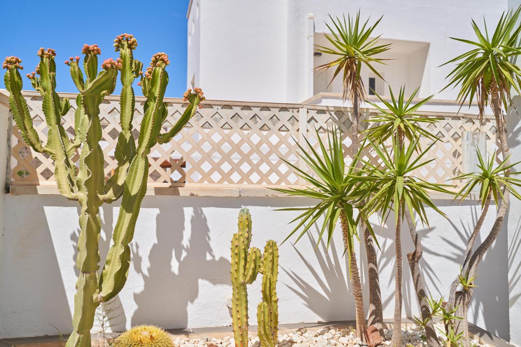 Villa De Luxe سان خوسيه المظهر الخارجي الصورة